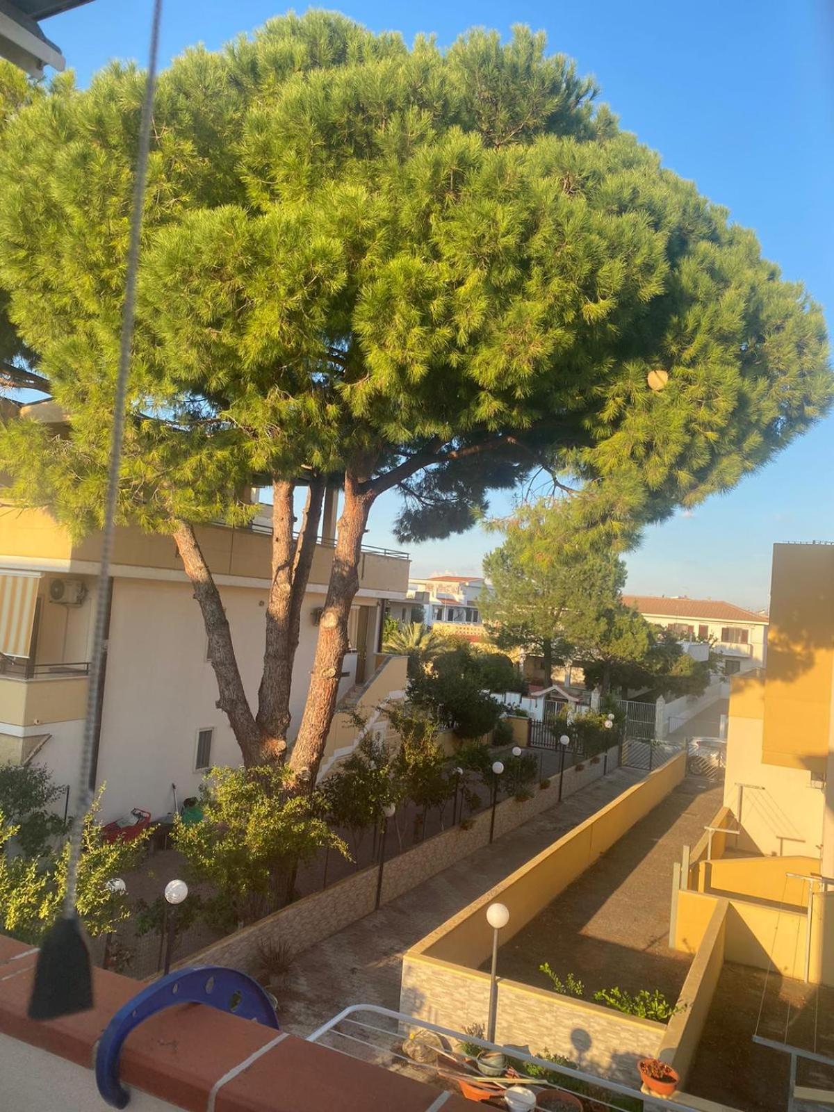 Villa Maniva Marina di Ginosa Bagian luar foto